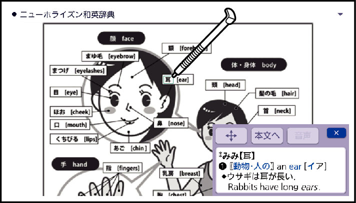 New_Horizon_Japanese-English_Dictionary_SX3800