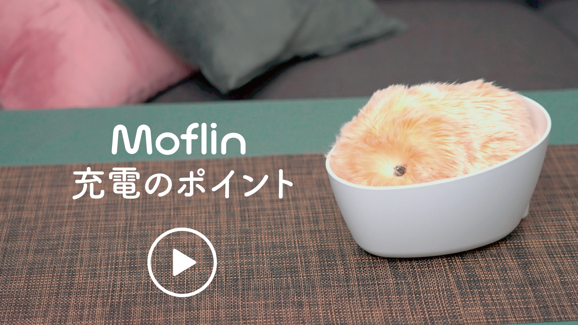 Moflinが充電できないときは PE-M10 - Support - CASIO