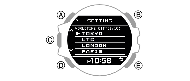 3481_3482_36_WT