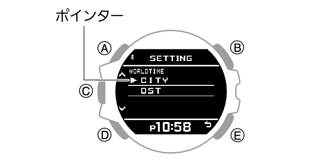 3481_3482_38_WT