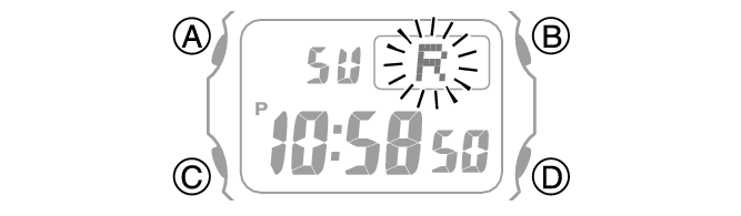 3541_48_Bat_Intro