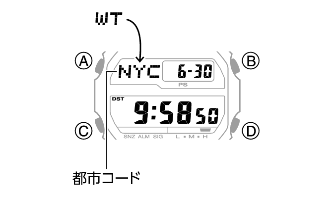 3545_13_WT