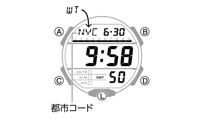 3569_12_WT