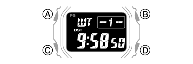 3584_17_WT