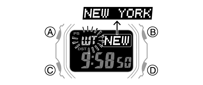 3584_18_WT