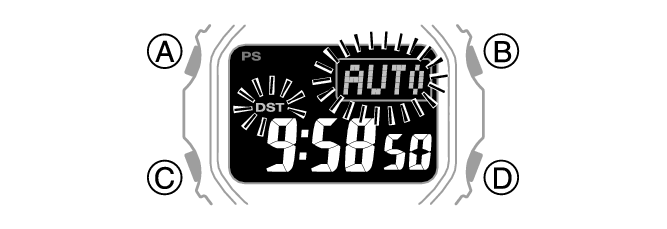 3584_19_WT
