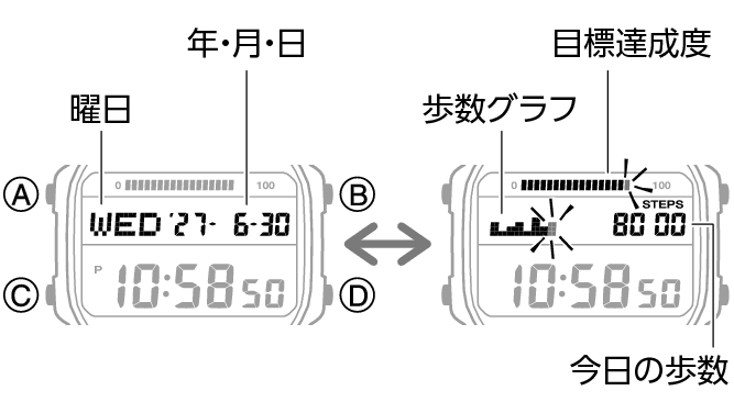 3589_47_fl_Pedometer