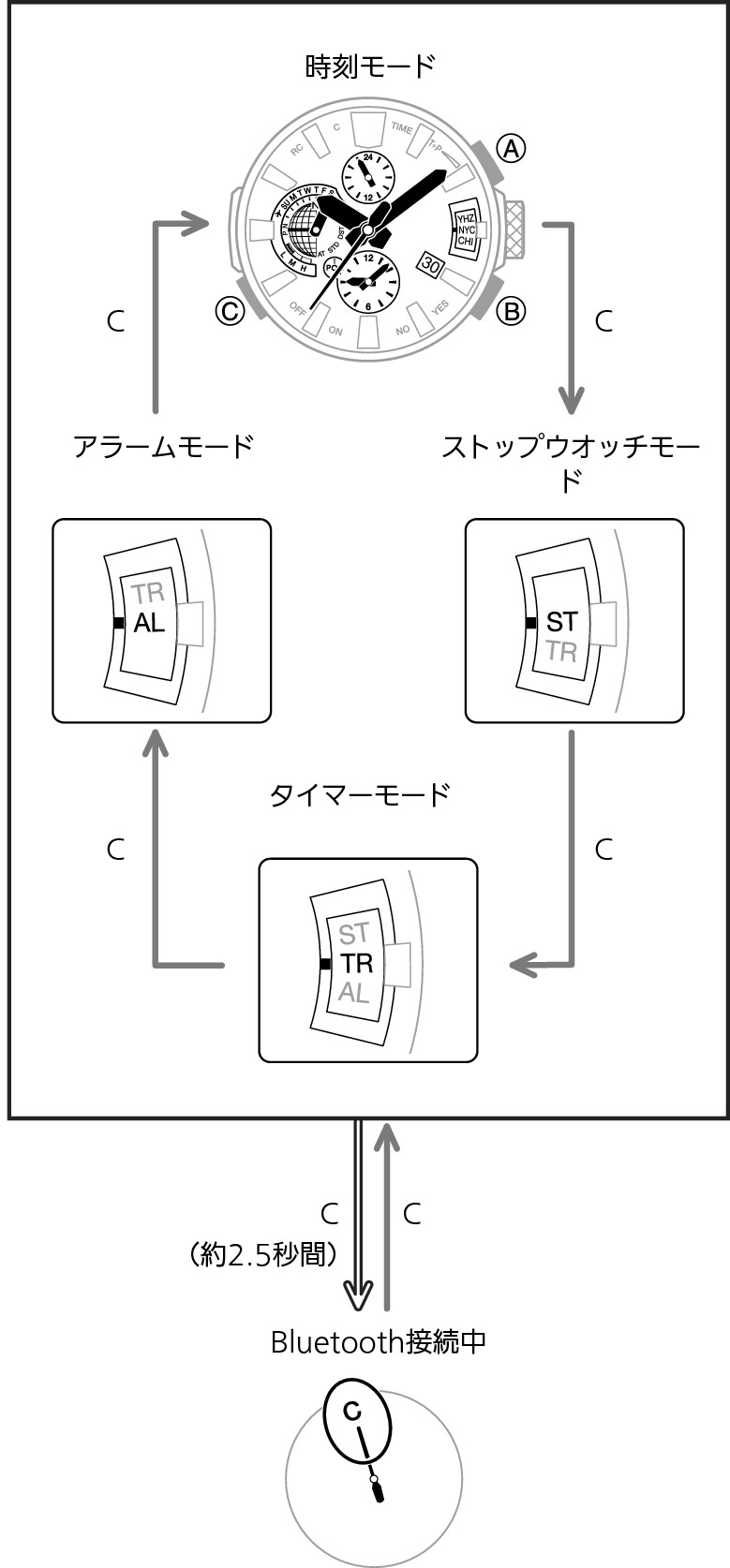 5531_gg_02_BO