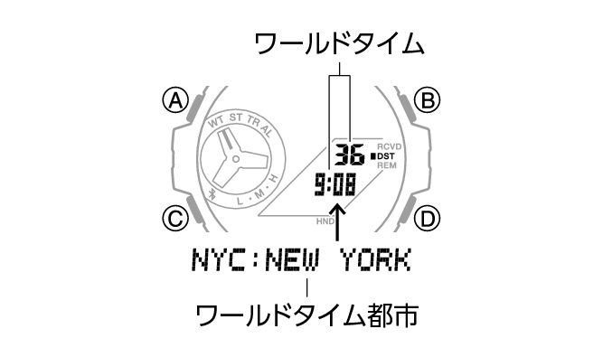 5684_22_WT
