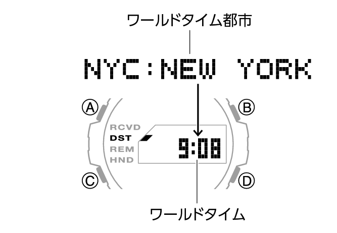 5724_21_WT