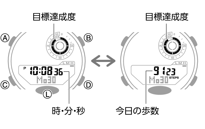 5736_46_fl_Pedometer