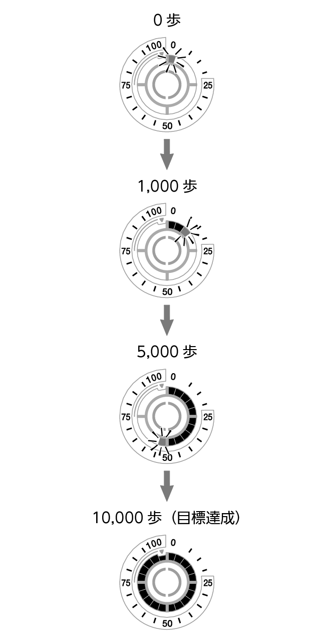 5736_fl_steps_Pedometer