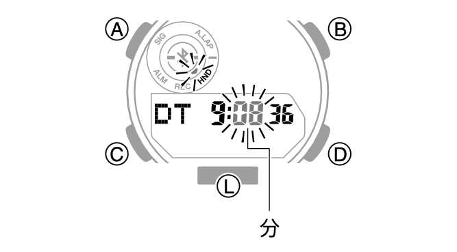 5737_31_DT