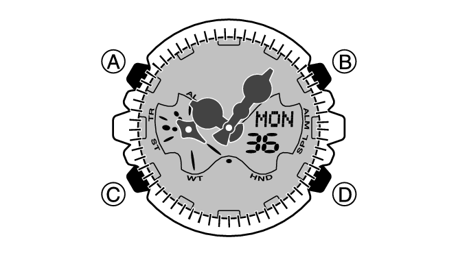 5751_06_LT_Intro