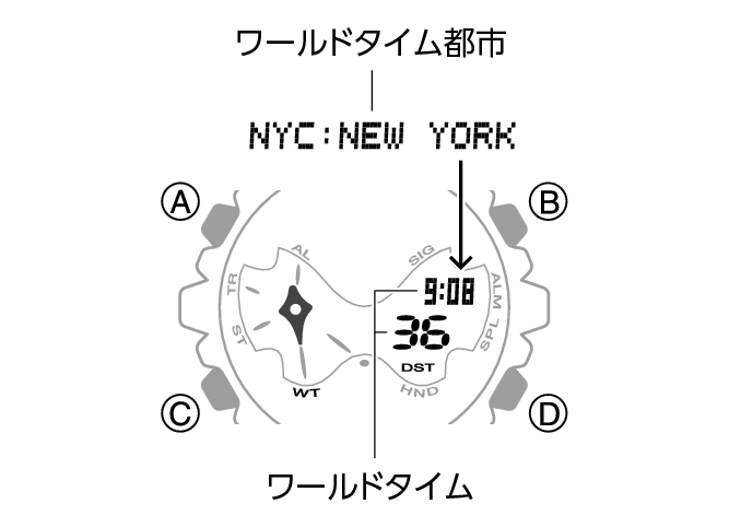 5751_12_WT